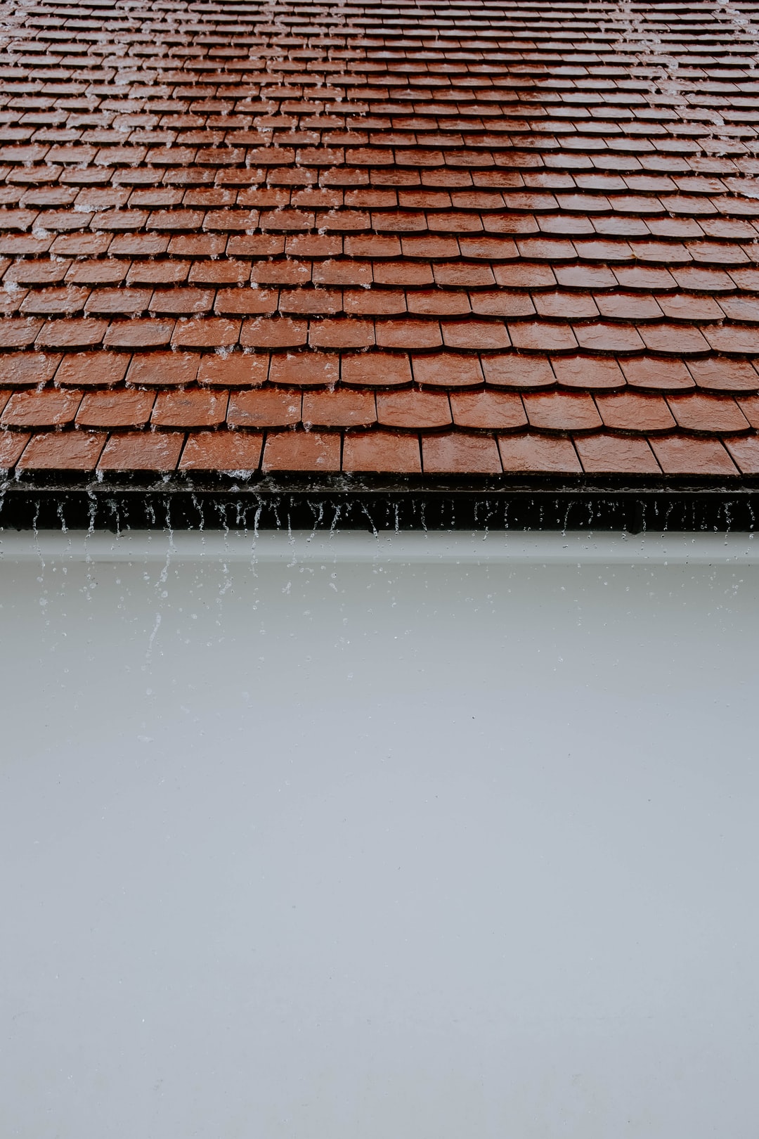 Business Image 8