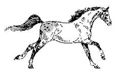 Business Image 0